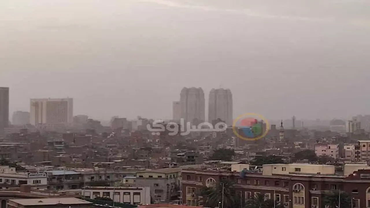 خطة قومية لمواجهة مرض السعار وتحذيرات جوية جديدة من هيئة الأرصاد